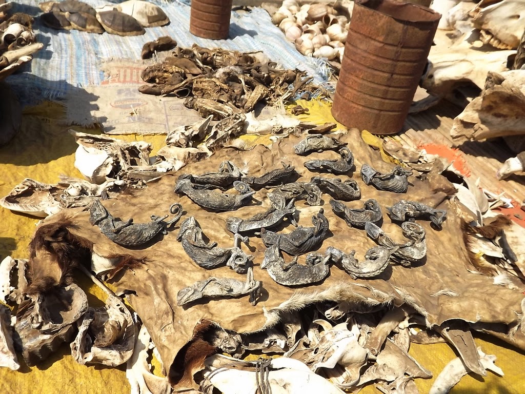 Segniagbeto et al   05